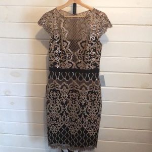 Tadashi Shoji Miranda Dress Sz 10 NWT